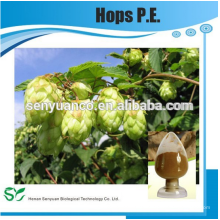 Hopfen PE